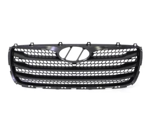 Mascara Radiador Hyundai Santa Fe 2010 2011 Oem 2p700